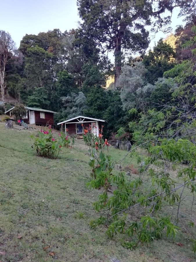 Miriam'S Quetzals Lodge San Gerardo de Dota Exterior foto