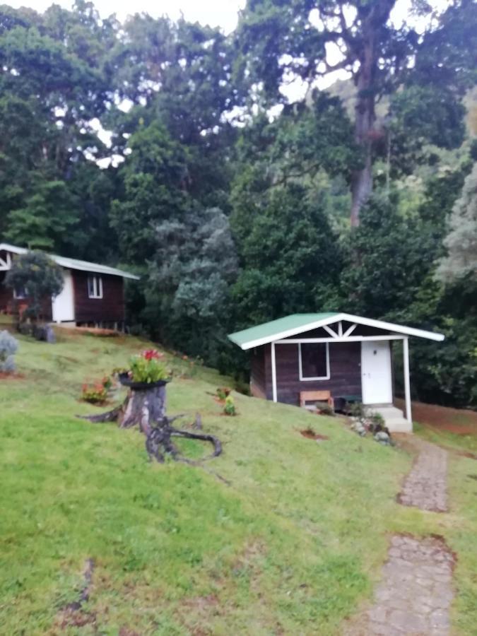 Miriam'S Quetzals Lodge San Gerardo de Dota Exterior foto