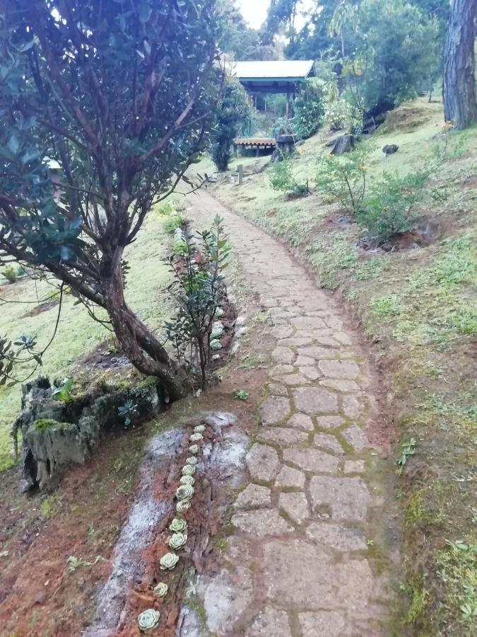 Miriam'S Quetzals Lodge San Gerardo de Dota Exterior foto