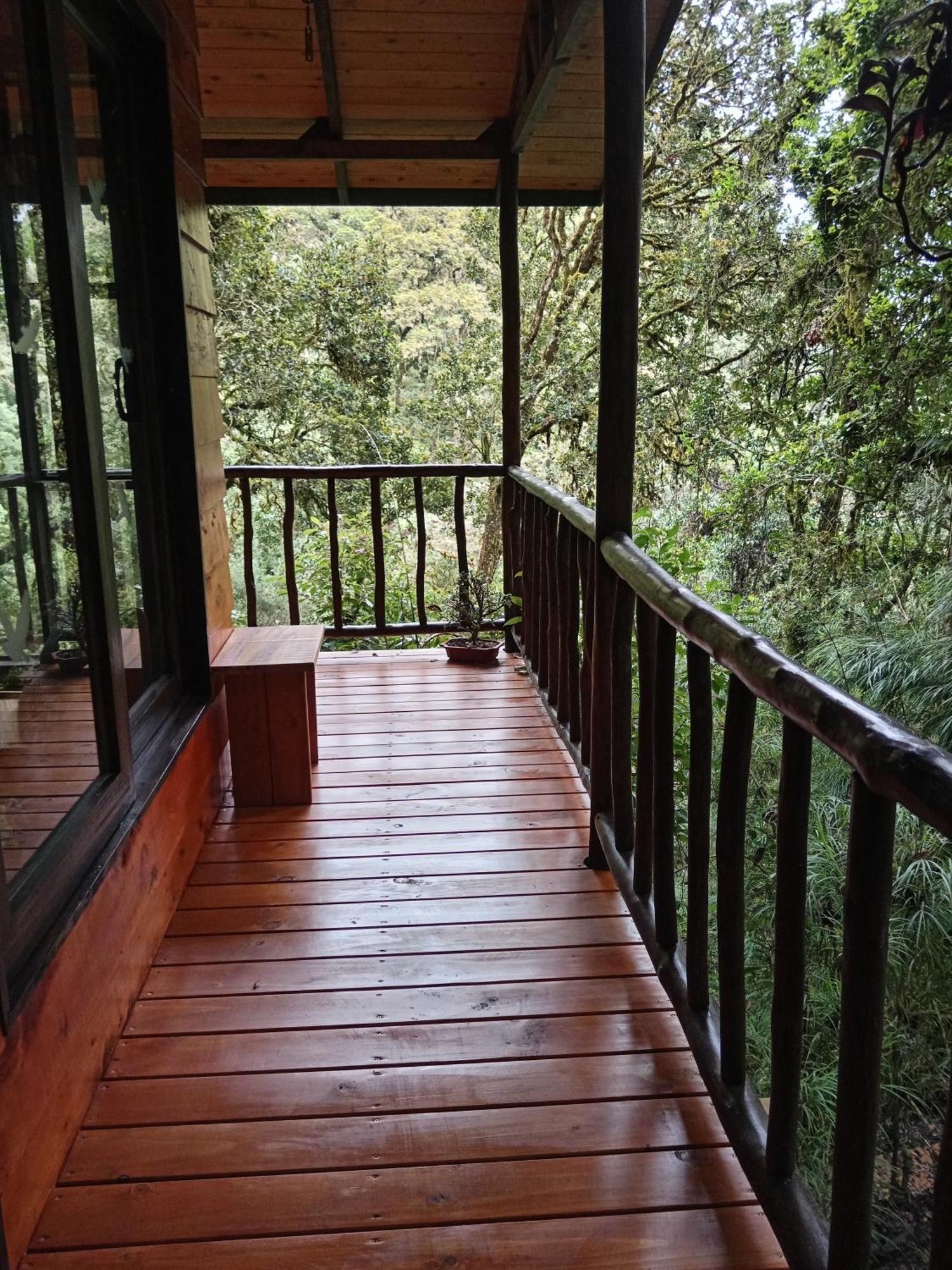 Miriam'S Quetzals Lodge San Gerardo de Dota Exterior foto