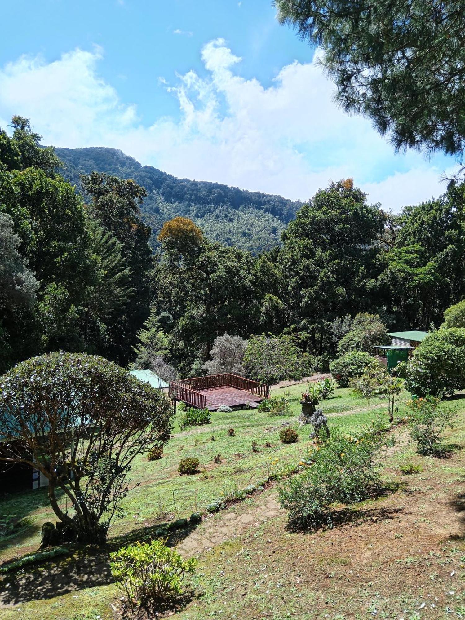 Miriam'S Quetzals Lodge San Gerardo de Dota Exterior foto