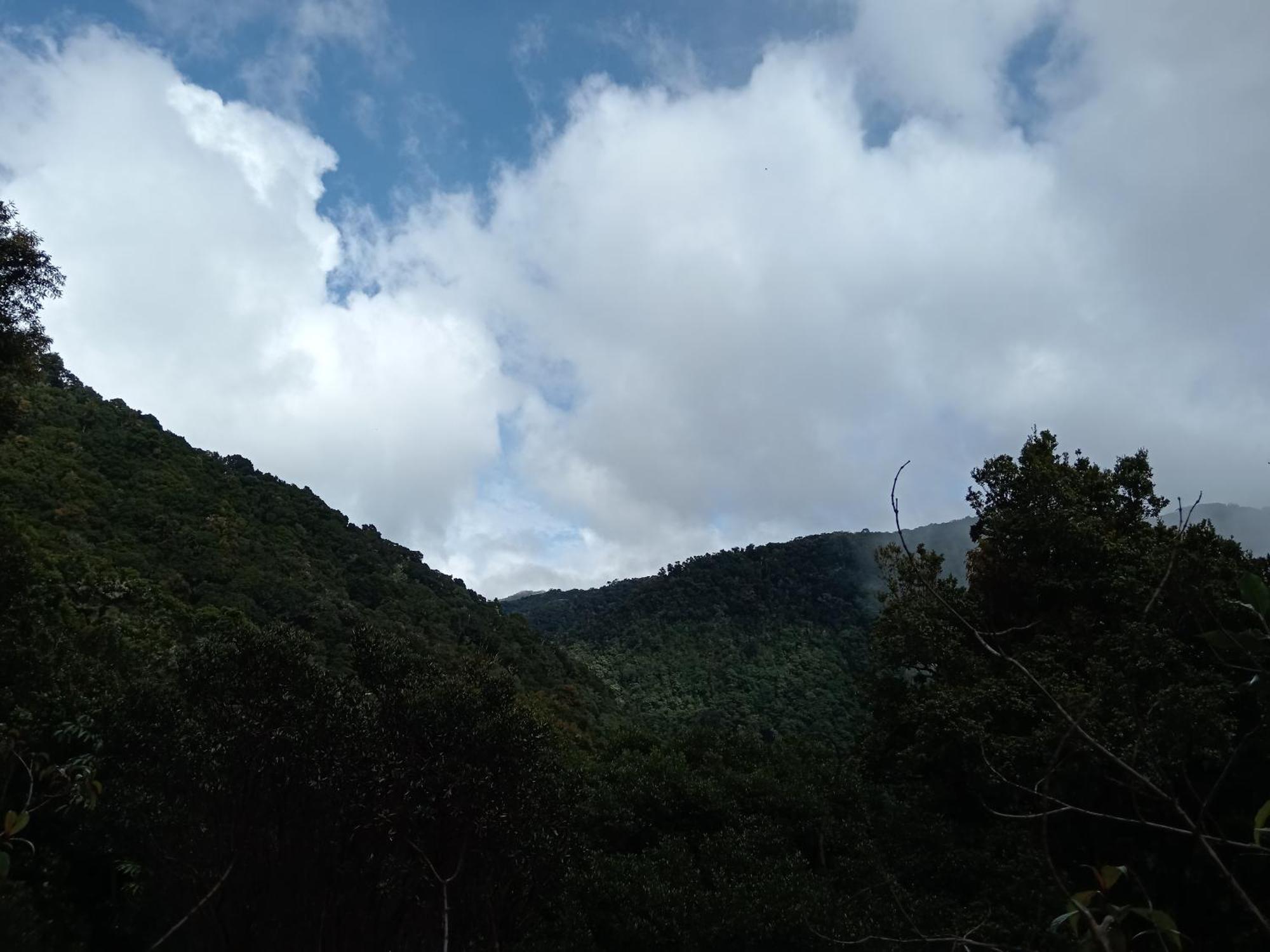 Miriam'S Quetzals Lodge San Gerardo de Dota Exterior foto
