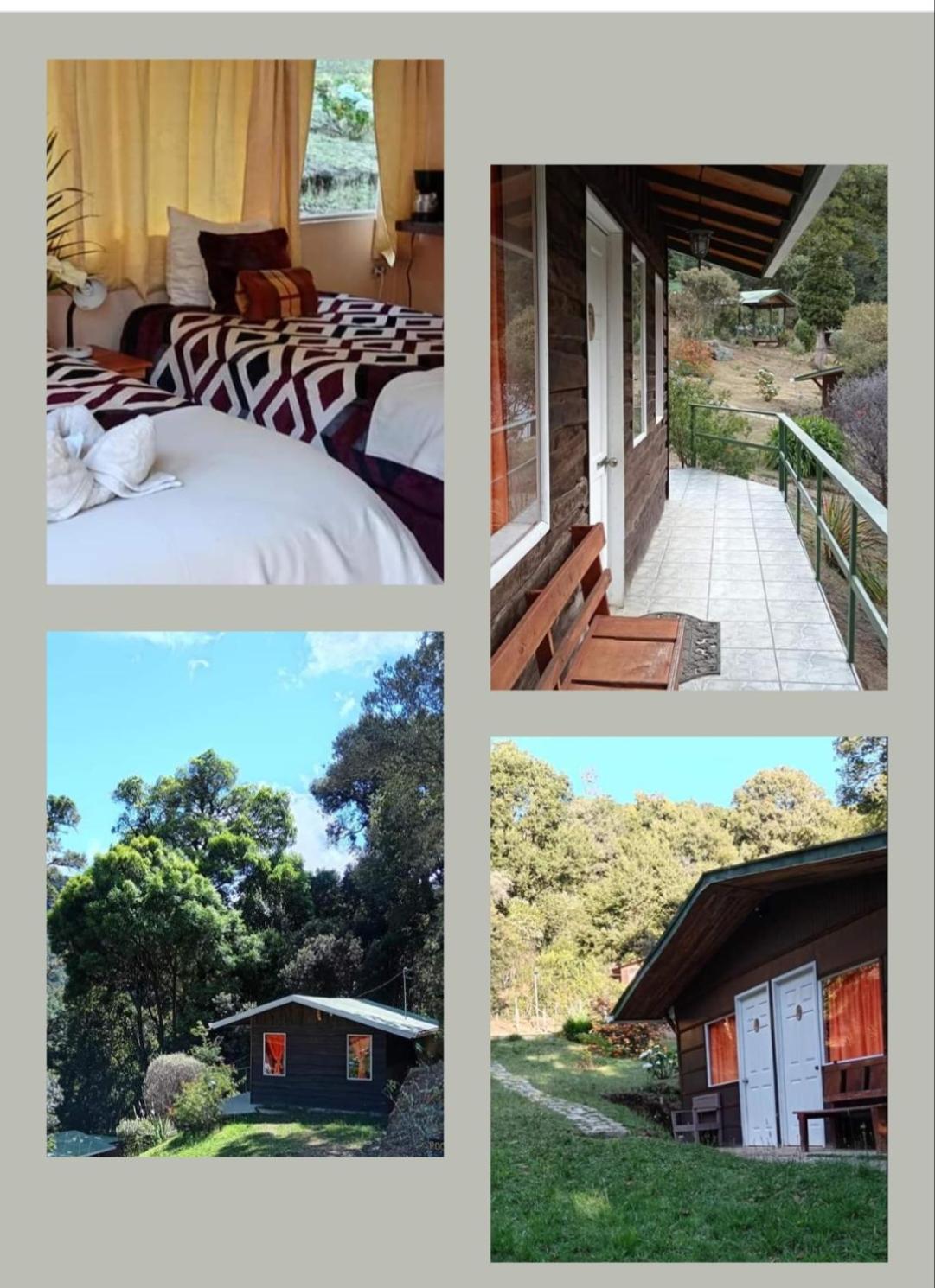 Miriam'S Quetzals Lodge San Gerardo de Dota Exterior foto