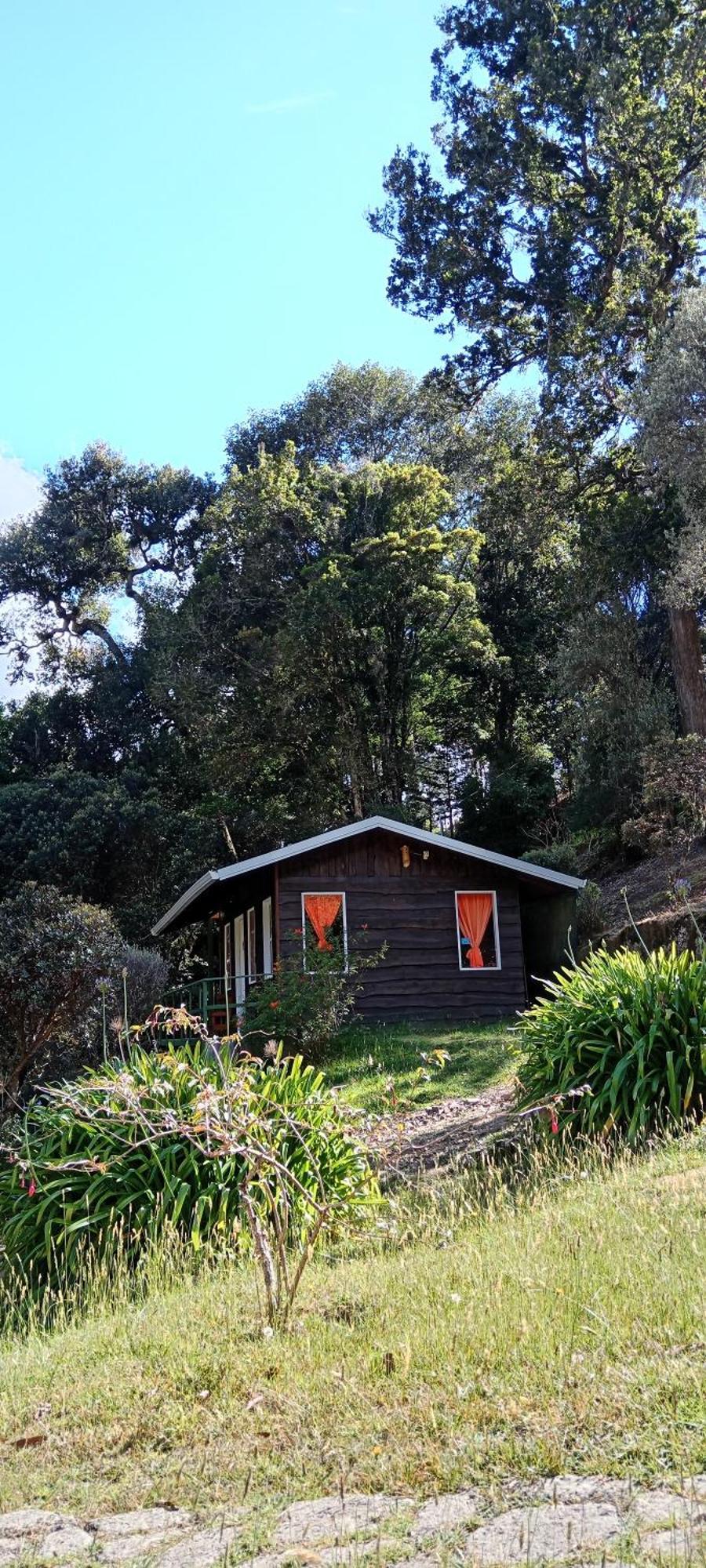 Miriam'S Quetzals Lodge San Gerardo de Dota Exterior foto