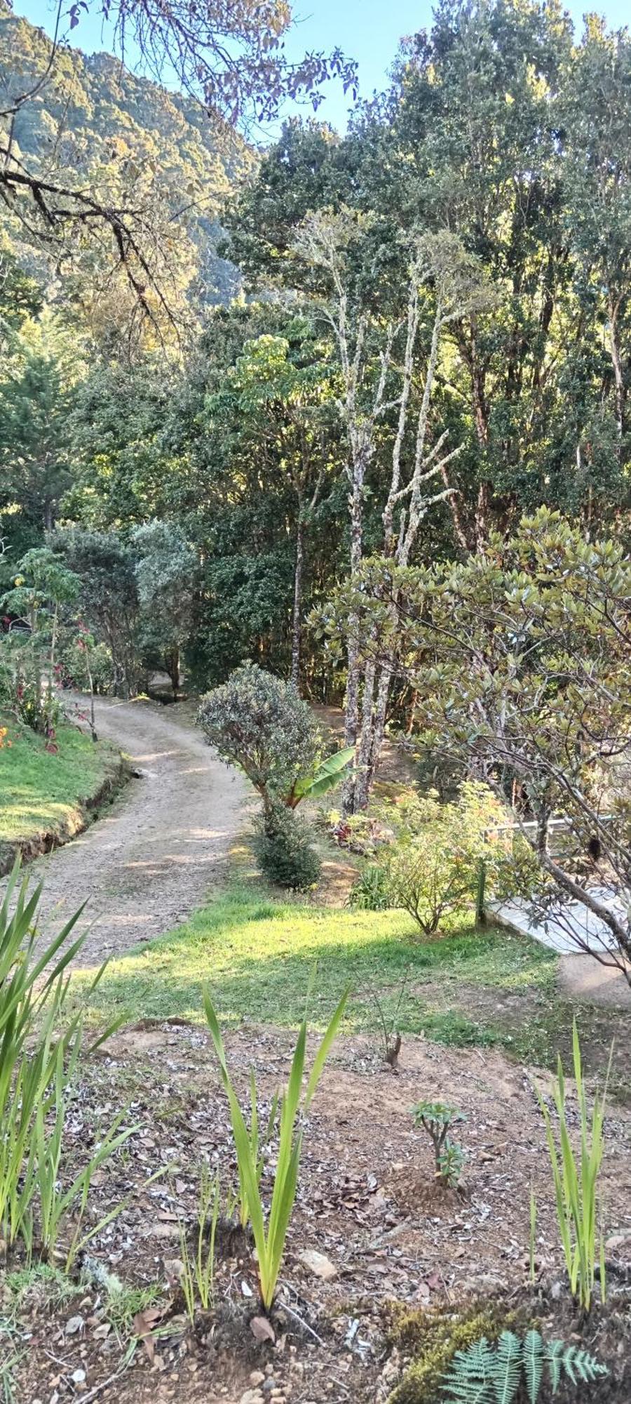 Miriam'S Quetzals Lodge San Gerardo de Dota Exterior foto