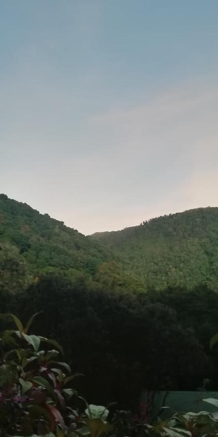 Miriam'S Quetzals Lodge San Gerardo de Dota Exterior foto